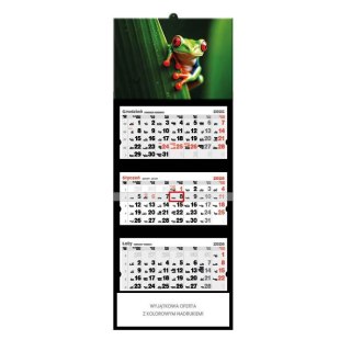Jotan Kalendarz ścienny żABKA trójdzielny 320mm x 855mm Jotan (T63)
