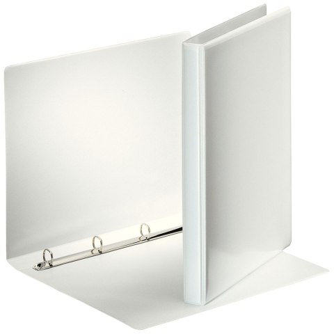 Esselte Segregator ofertowy A4 25mm biały Esselte (49700)