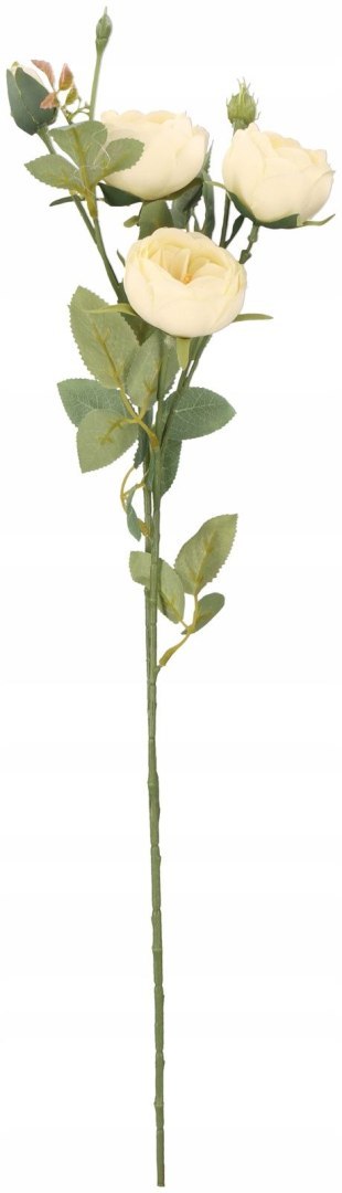 Home And Garden Kwiaty bukiet róż 66cm kremowy Home And Garden (9349)