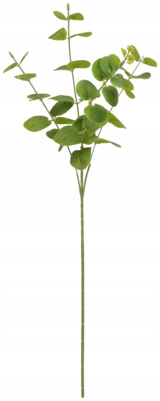 Home And Garden Kwiaty gałązka eukaliptus 63 cm Home And Garden (2006)