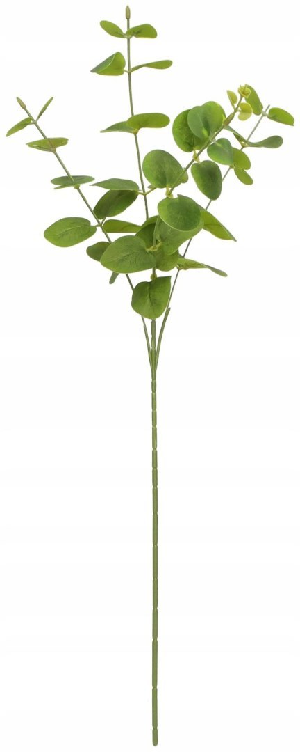 Home And Garden Kwiaty gałązka eukaliptus 63 cm Home And Garden (2006)