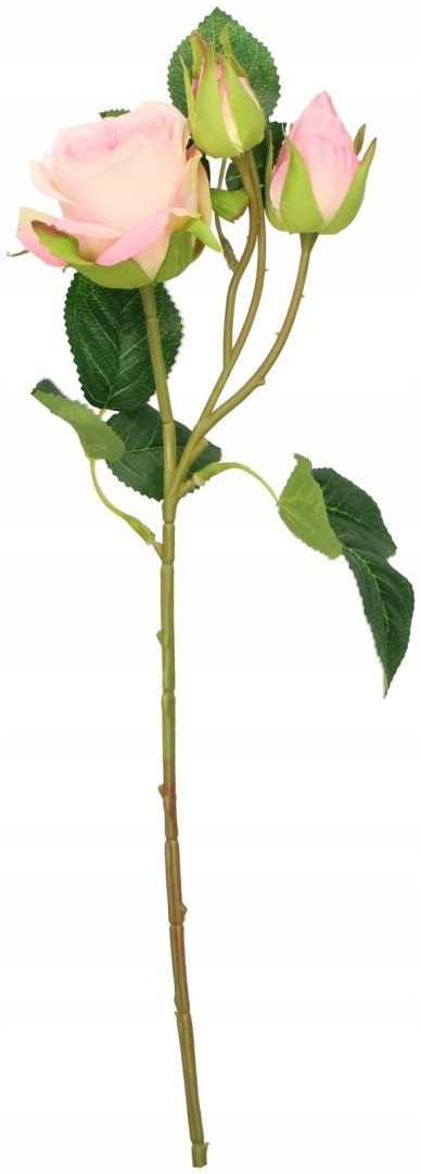 Home And Garden Kwiaty róża 3 szt. 40cm Home And Garden (4443)