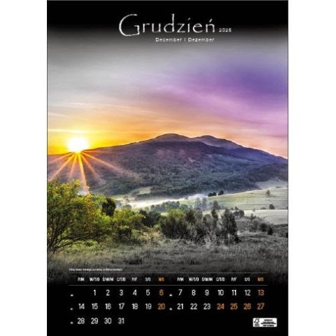 Jotan Kalendarz ścienny TAJEMNICZE BIESZCZADY WIELOPLANSZOWY 330mm x 500mm Jotan (WP127)