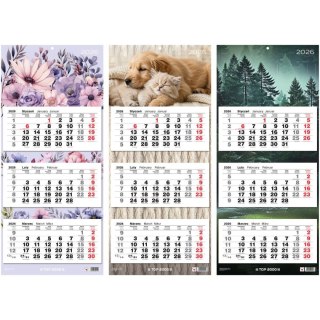 Top Kalendarz ścienny trójdzielny 310mm x 710mm Top (400204171)