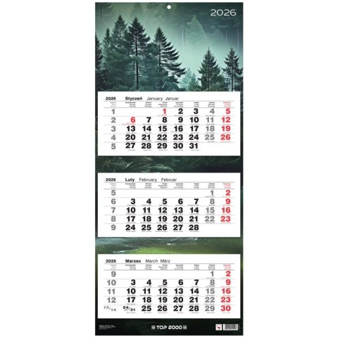 Top Kalendarz ścienny trójdzielny 310mm x 710mm Top (400204171)
