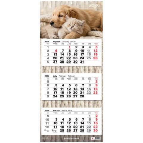 Top Kalendarz ścienny trójdzielny 310mm x 710mm Top (400204171)