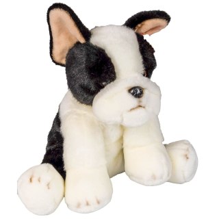 Anek Pluszak pies Boston terrier [mm:] 300 Anek (844404BS)
