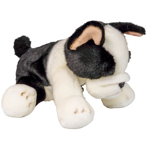 Anek Pluszak pies Boston terrier [mm:] 300 Anek (844404BS)