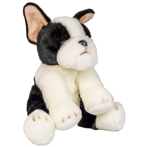 Anek Pluszak pies Boston terrier [mm:] 300 Anek (844404BS)