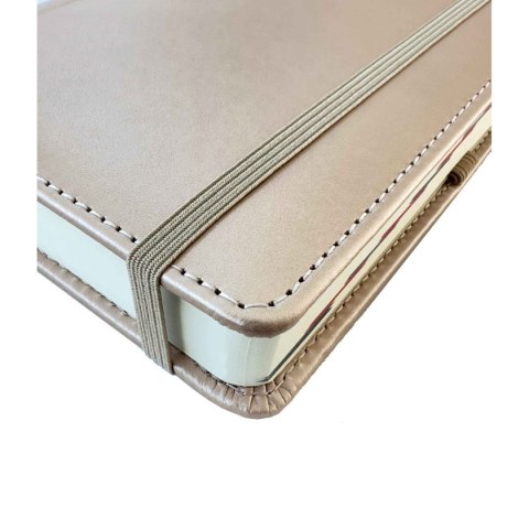 Avanti Kalendarz książkowy (terminarz) DZIENNY LUX metalic A5 Avanti (KKA5DL)