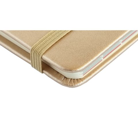 Avanti Kalendarz książkowy (terminarz) książkowy 100mm x 180mm Avanti (KKDLTL)