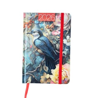 Avanti Kalendarz książkowy (terminarz) terminarz B6 Avanti (KKB6DLFoto)