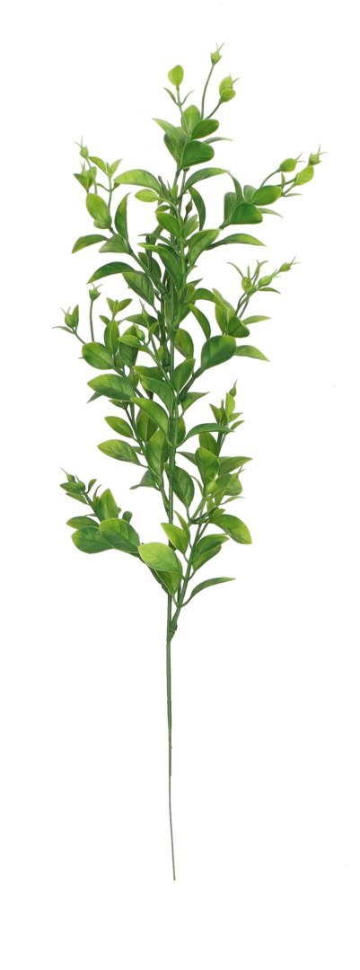 Home And Garden Kwiaty gałązka bukszpanu 50 cm Home And Garden (2026)