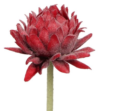 Home And Garden Kwiaty karczoch 60cm Home And Garden (8219)