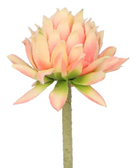 Home And Garden Kwiaty karczoch 60cm Home And Garden (8219)