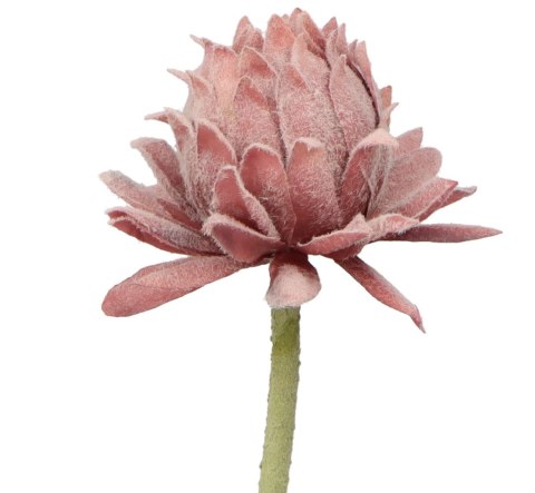 Home And Garden Kwiaty karczoch 60cm Home And Garden (8219)