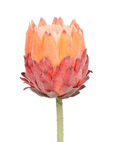 Home And Garden Kwiaty karczoch 65cm Home And Garden (8226)