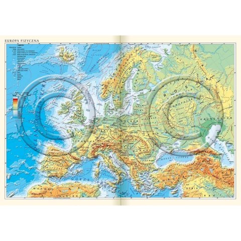 Lucrum Kalendarz książkowy (terminarz) terminarz kieszonkowy B6 110mm x 165mm Lucrum (41D)