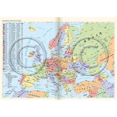 Lucrum Kalendarz książkowy (terminarz) terminarz kieszonkowy B6 110mm x 165mm Lucrum (41D)