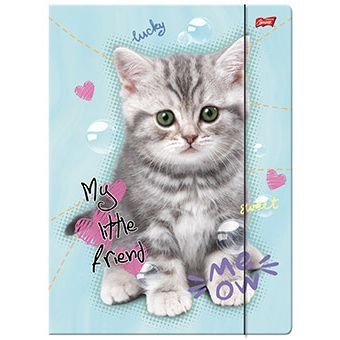 Unipap Teczka kartonowa na gumkę MY LITTLE FRIEND A4 mix 300g Unipap