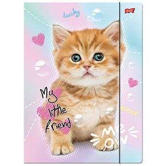 Unipap Teczka kartonowa na gumkę MY LITTLE FRIEND A4 mix 300g Unipap