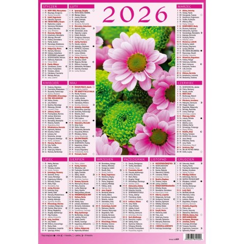 Wydawnictwo Wokół Nas Kalendarz ścienny 5905031841033 plakietka A4 230mm x 335mm Wydawnictwo Wokół Nas (KS059)