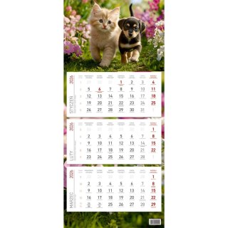 Wydawnictwo Wokół Nas Kalendarz ścienny EKONOMICZNY PRZYJACIELE kalendarz trójdzielny 680mm x 295mm Wydawnictwo Wokół Nas (KS 045)