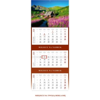 Wydawnictwo Wokół Nas Kalendarz ścienny plecki szare HALA GĄSIENICOWA 297mm x 210mm Wydawnictwo Wokół Nas (KS055B)