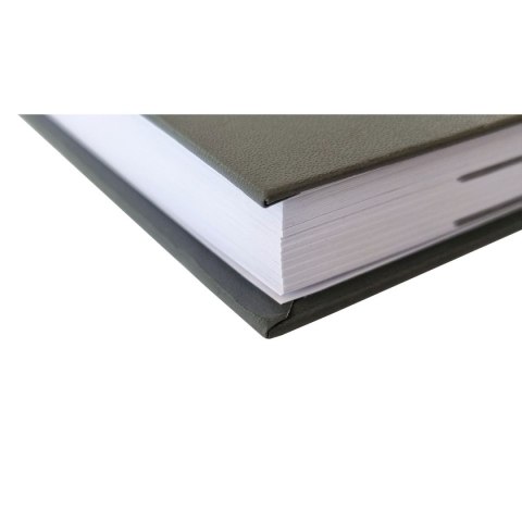 Avanti Kalendarz książkowy (terminarz) terminarz A5 Avanti (5901769620650)