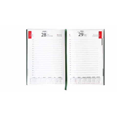 Avanti Kalendarz książkowy (terminarz) terminarz A5 Avanti (5901769620650)