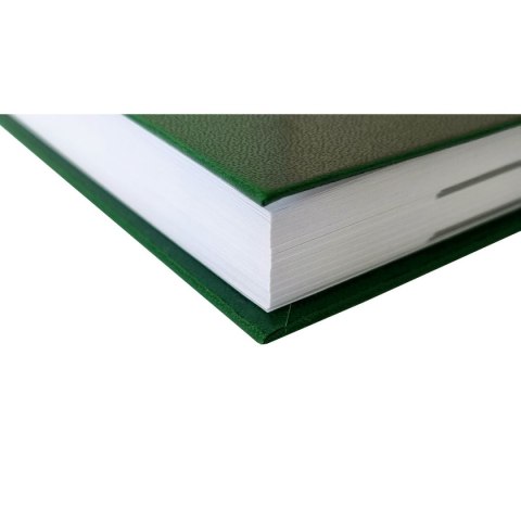 Avanti Kalendarz książkowy (terminarz) terminarz A5 Avanti (5901769620650)