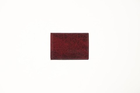 Folprim Okładka na dokumenty eko na dokumenty ucznia Okładka na dokumenty ucznia z ekoskóry (nowe) Folprim