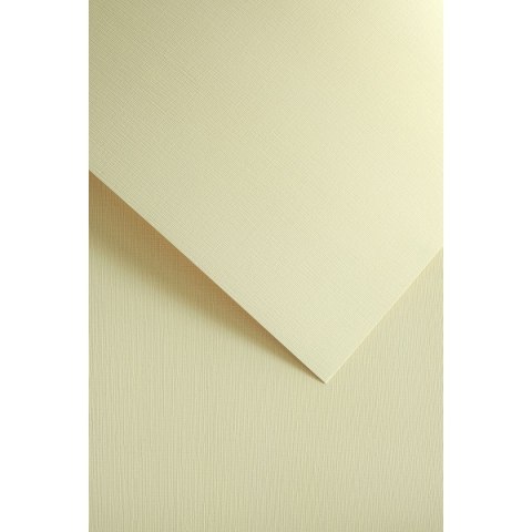 Galeria Papieru Papier ozdobny (wizytówkowy) natte A4 kremowy 120g Galeria Papieru (206112)