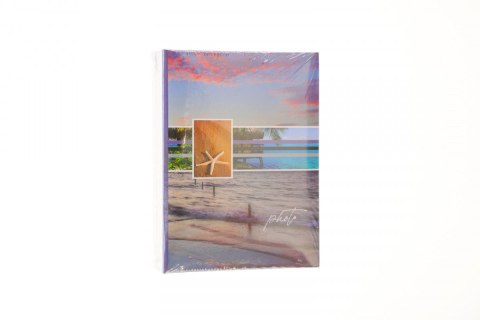 Gedeon Album kieszeniowy 100 kieszeni Gedeon (MM46100SUMMER)