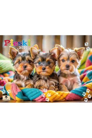 Pan Kalendarzyk Kalendarz ścienny ALBUMOWY PIESKI 320mm x 470mm Pan Kalendarzyk (KSA V.1)