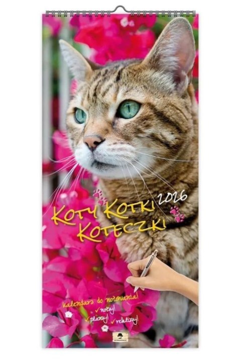Pan Kalendarzyk Kalendarz ścienny PASKOWY SZEROKI KOTY KOTKI KOTECZKI 220mm x 470mm Pan Kalendarzyk (KPS V.6)