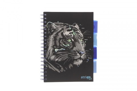 Strigo Kołozeszyt (kołonotatnik) ANIMALS czarny TYGRYS B5 100k. 80g KRATKA Strigo (PADS024)
