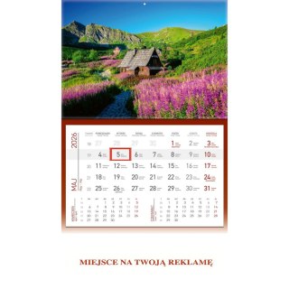 Wydawnictwo Wokół Nas Kalendarz ścienny HALA GĄSIENICOWA JEDNODZIELNY plecki SZARE 512mm x 295mm Wydawnictwo Wokół Nas (KS 056)