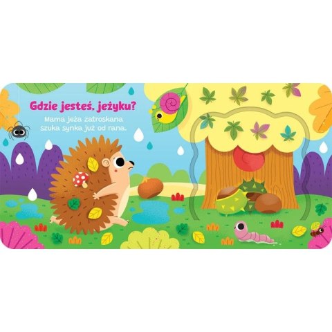 Aksjomat Książka dla dzieci Otwórz okienko! Gdzie jesteś, jeżyku? Aksjomat