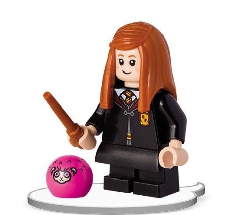 Ameet Książka dla dzieci LEGO® Harry Potter™. Towarzysze zabaw Ameet (LNC 6424)