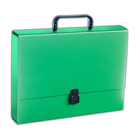 Penmate Teczka kartonowa pastelowa A4 zielony Penmate (TT6749)