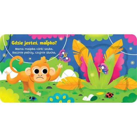 Aksjomat Książka dla dzieci Otwórz okienko! Gdzie jesteś, małpko ? Aksjomat
