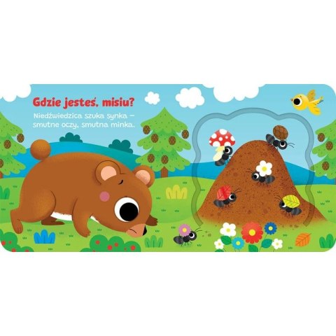 Aksjomat Książka dla dzieci Otwórz okienko! Gdzie jesteś, misiu ? Aksjomat