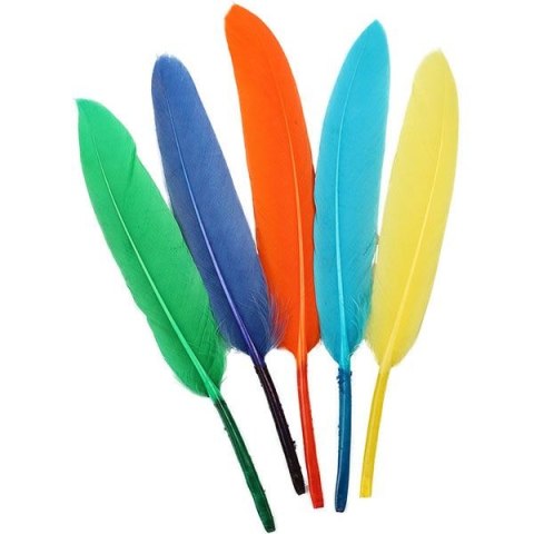 Titanum Piórka Craft-Fun Series mix 60 szt Titanum (16079L)