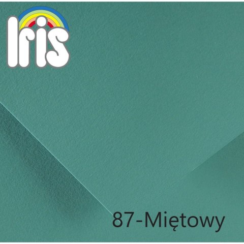 Canson Brystol Iris Canson (400108142)