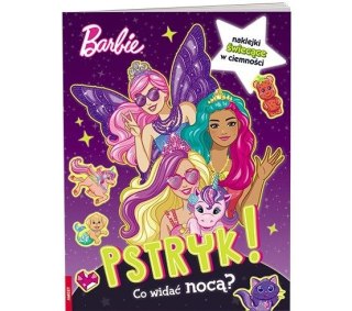 Ameet Książka dla dzieci Barbie™. Pstryk! Co widać nocą? Ameet (GLO 1401)