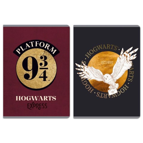 Beniamin Zeszyt Harry Potter Beniamin