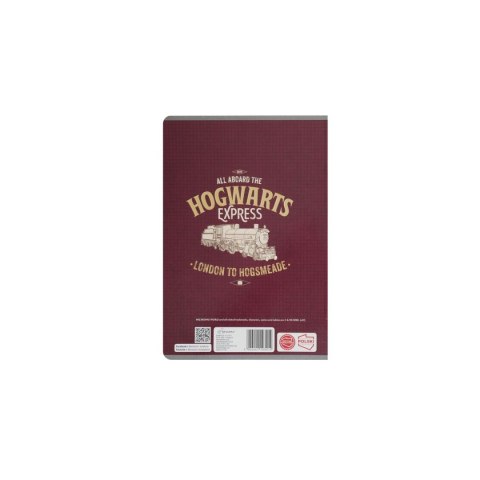 Beniamin Zeszyt Harry Potter Beniamin