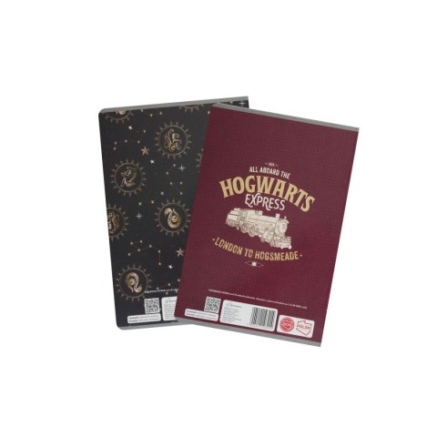 Beniamin Zeszyt Harry Potter Beniamin