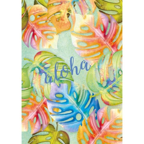 Kreska Brulion A6 60k. krata Kreska